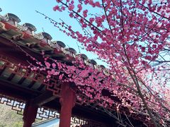 -采石矶景区