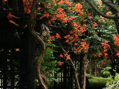 -青岛鑫江温德姆酒店