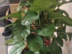 -云川台球(马甸店)