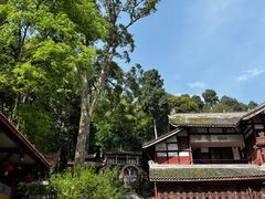 -都江堰普照寺