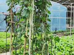 -洪湖家庭农场·团建·露营·会议