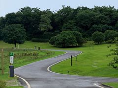 -宜兴龙背山森林公园