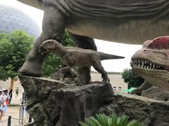 -陕西自然博物馆