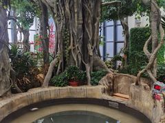 -悦隆庄温泉度假酒店