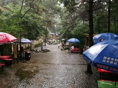-燕塞湖鸟语林景区
