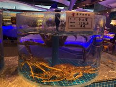 -一方渔歌蒸汽海鲜自助(文化路万达广场店)