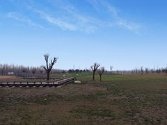 -汉长安城未央宫国家考古遗址公园