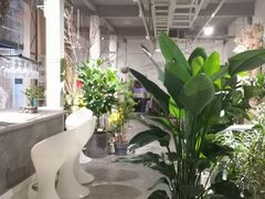 -蓝山四季西餐植物店