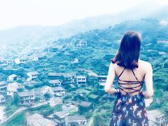 -枸杞岛