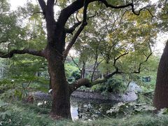 -叶家花园