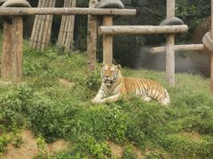 -大连森林动物园