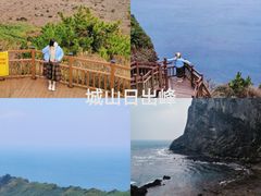 -西归浦每天偶来市场