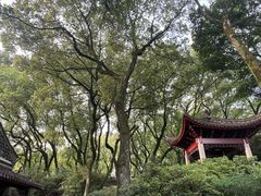 -天一阁博物院