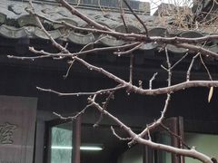 -南京市民俗博物馆(甘熙故居)