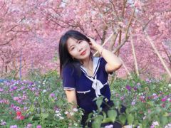 -天适樱花悠乐园