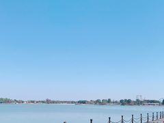 -上海月湖雕塑公园