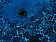 -宁波九龙湖开元度假村