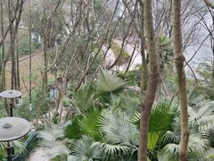 -重庆彩云湖湿地公园