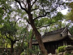 -绮园景区