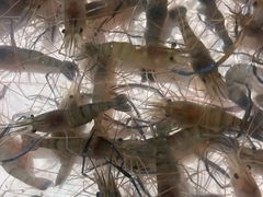 -芭提雅Amporn Seafood自助餐厅