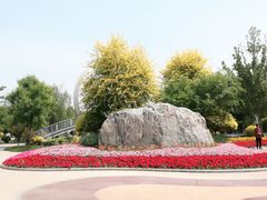 -武清南湖绿博园