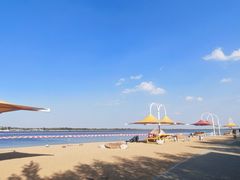 -呼兰河口湿地公园