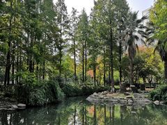 -苏州河梦清园环保主题公园