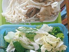 -15年老字号鑫鑫猪肚鸡·椰子鸡海南火锅(兴隆华侨农场店)