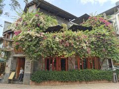 双廊青鱼片-随善园餐厅(大理店)