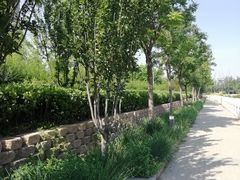 -东坝千亩湖公园