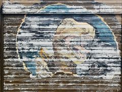 -梦幻奥陶纪景区