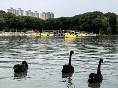 -昆山城市生态森林公园