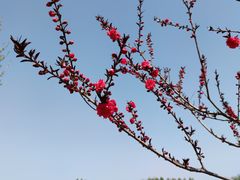 -棒约翰比萨意面(马家堡西路店)