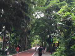 -南宁南湖公园