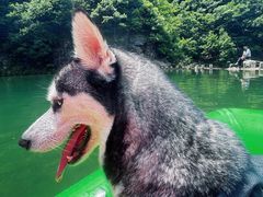 -安吉龙王山峡谷漂流