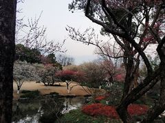 -杭州植物园
