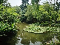 -西湖游船