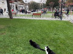 -土耳其与伊斯兰艺术博物馆