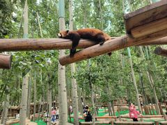 -北京野生动物园