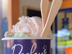 -Dooley's Premium Ice Cream