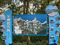 -广东惠东海龟国家级自然保护区