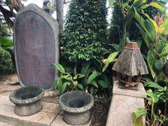 -亚龙湾热带天堂森林公园