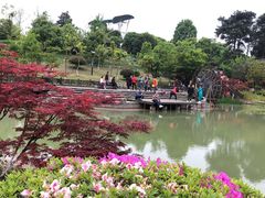 -铁山坪森林公园