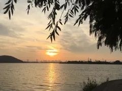 -东湖落雁景区