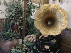 -春风·有糖(崇宁路店)