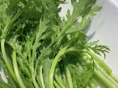 -蜀留香火锅·始于1999·原四川老火锅(白堤路店)