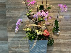 -广州白天鹅宾馆