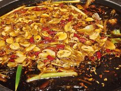 -费明中罗非鱼(大石坝店)