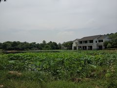 -苏州环秀晓筑养生度假村