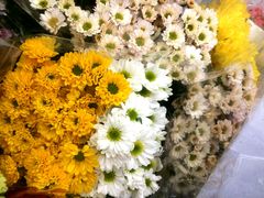 -沪花拾者(好再来花卉鲜花店)